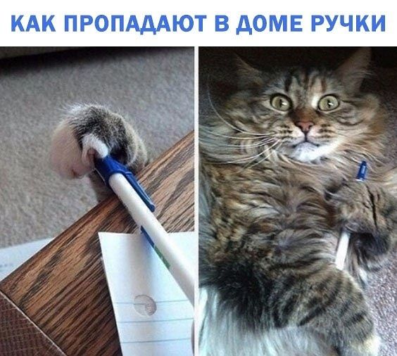 КАК ПРОПАААЮТ В дОМЕ РУЧКИ