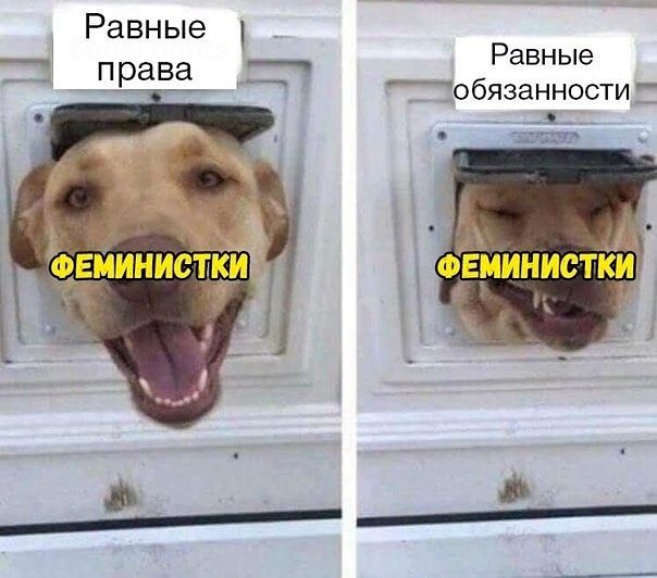 Равные _ Права __ Равные _обязанностит