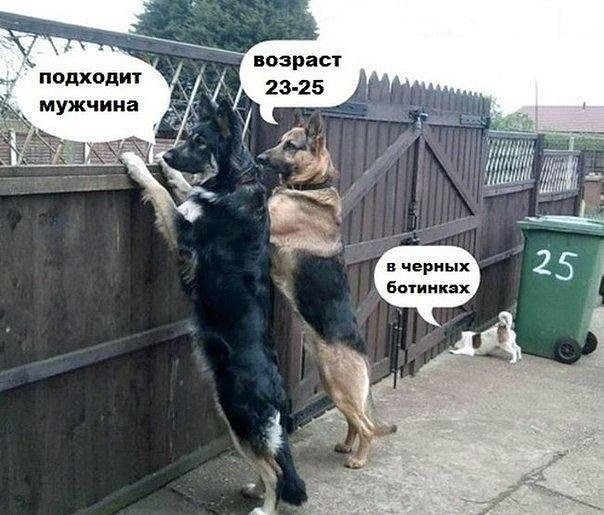 возрасч ПОДХВДИТ мужчина