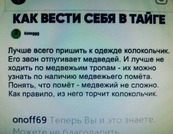 щи КАК вести сввя в тАйіЕ ств Лучше всего пришить к одежде колокольчик Его звон отпугивает медведей И лучше не ходи1ь по медвежьим тропам их можно узнать по наличию медвежьего помёта Понять что помёт медвежий не сложно Как правило ИЗ НЕГО ТОРЧИТ КОПОКОПЬЧИК опоНбЭ МПЖьЕм