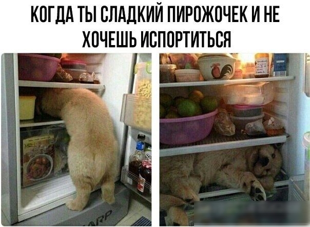 КПГДА ТЫ СЛАДКИЙ ПИРПЖОЧЕК И НЕ ХОЧЕШЬ ИБППРТИТЬБЯ