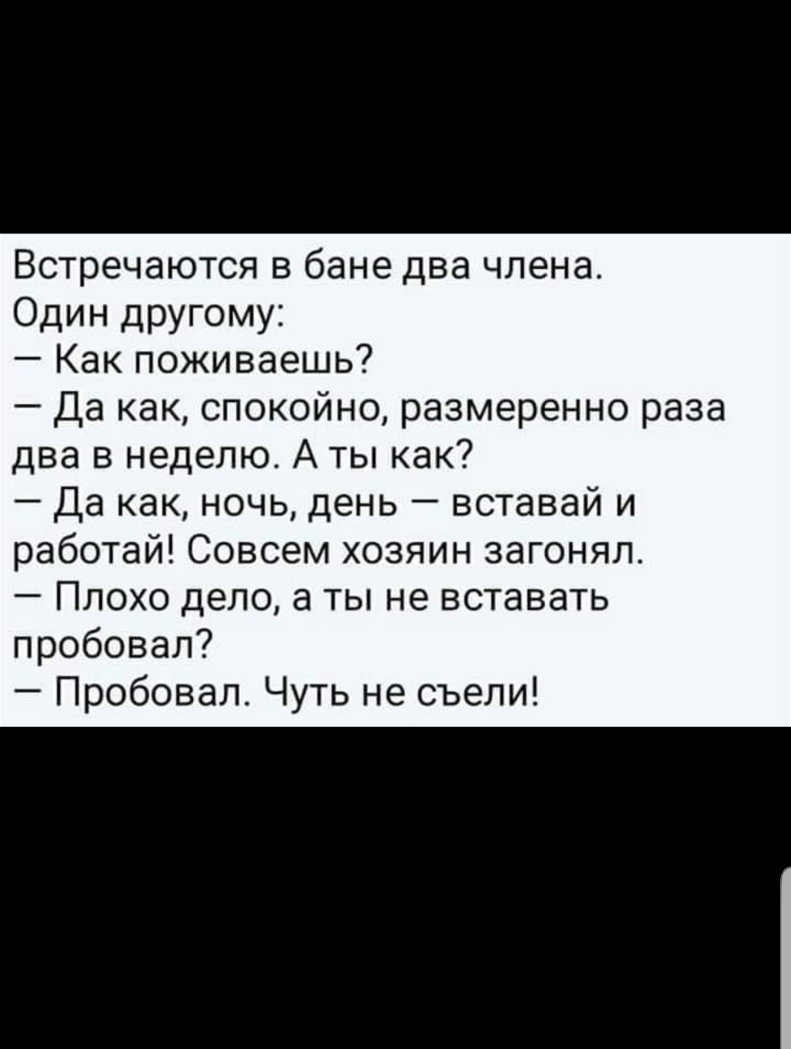 Встречаются в бане два члена Один другому Как поживаешь Да как спокойно размеренно раза два в неделю А ты как Да как ночь день вставай и работай Совсем хозяин загонял Плохо дело а ты не вставать пробовал Пробовал Чуть не съели