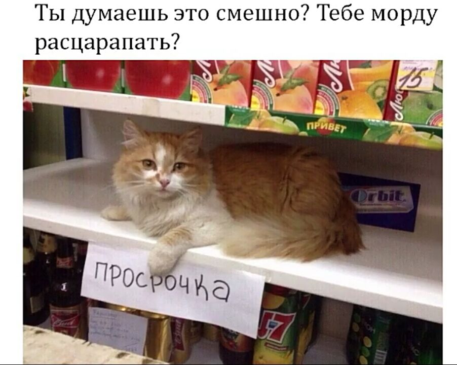 Ты думаешь это смешно Тебе морду расцарапать