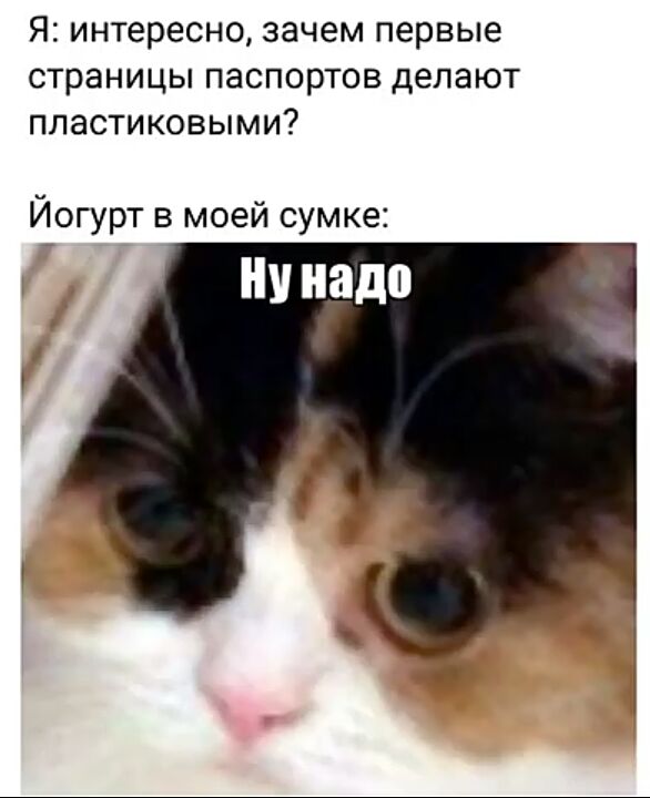 Я интересно зачем первые страницы паспортов делают пластиковыми Йогурт в моей сумке