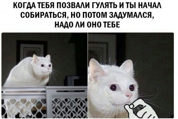 КОГДА ТЕБЯ ПОЗВМИ ГУАЯТЬ И ТЫ НАЧАА СОБИРАТЬСЯ НО ПОТОМ 3ААУМААСЯ НАДО АИ ОНО ТЕБЕ