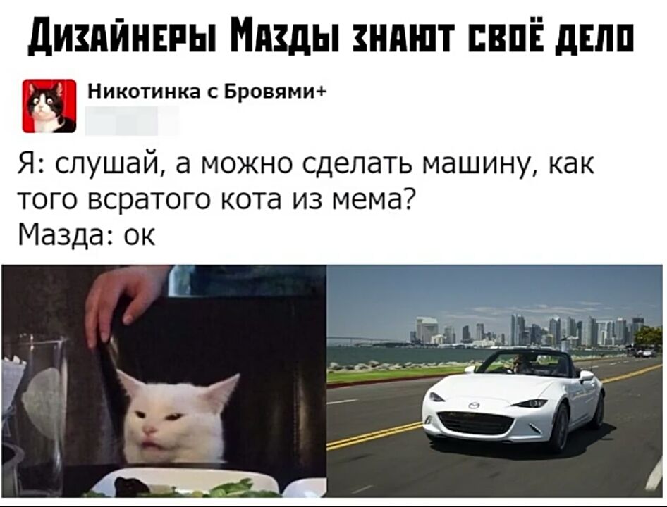 Остановился на этой точно. Кот Мазда. Мемы про котиков и машины. Машина похожая на кота. Кот из мема в машине.