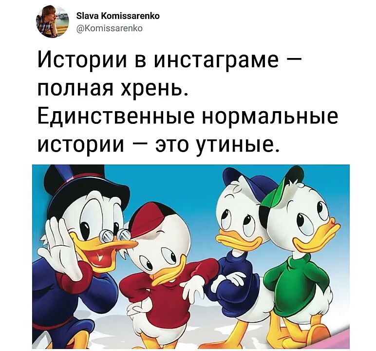 Зіача Коті55агеп1ю КотхээагепКо Истории в инстаграме ПОЛНЭЯ ХРЭНЬ ЕДИНСТВЕННЫе нормальные ИСТОРИИ _ ЭТО утиные