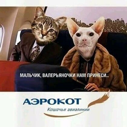 АЭРОКОТ Юлиті ммм Ь