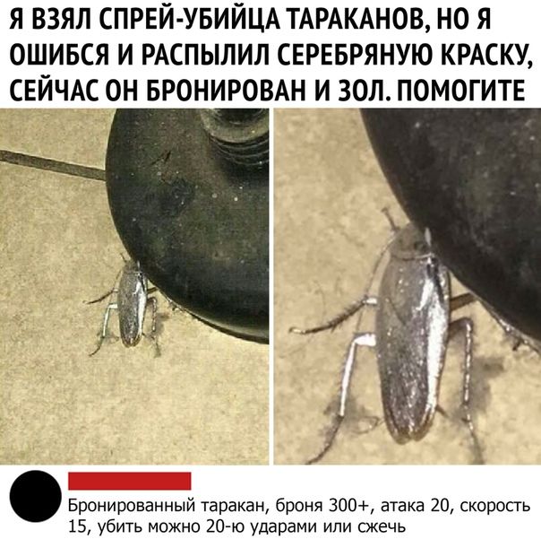 я взял СПРЕЙ УБИЙЦА ТАРАКАНОВ но я ошився и РАСПЫЛИЛ сврввряную киску свйчм он вронироын и зол помогите Бронированный таракан броня 300 атака 20 скоропь 15 убить можно 20 ю ударами ипи сжечь