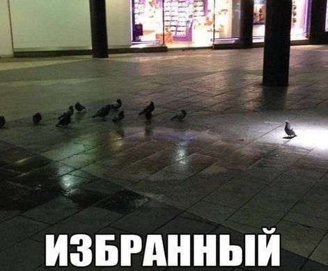 _ ___ ШШч