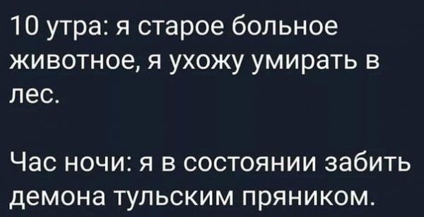 10 утра я старое больное животное я ухожу умирать в лес ЧЭС НОЧИ Я В СОСТОЯНИИ забить демона ТУЛЬСКИМ ПРЯНИКОМ