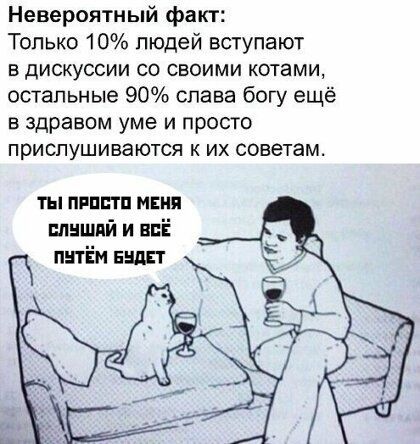 Невероятный факт Только 10 людей вступают в дискуссии со своими котами остальные 90 слава богу ещё в здравом уме и просто прислушиваются к их советам ты пипптп мвия ппншнй и всё пнтЁм Бшт