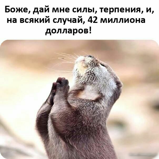 Боже дай мне силы терпения и на всякий случай 42 миллиона долларов