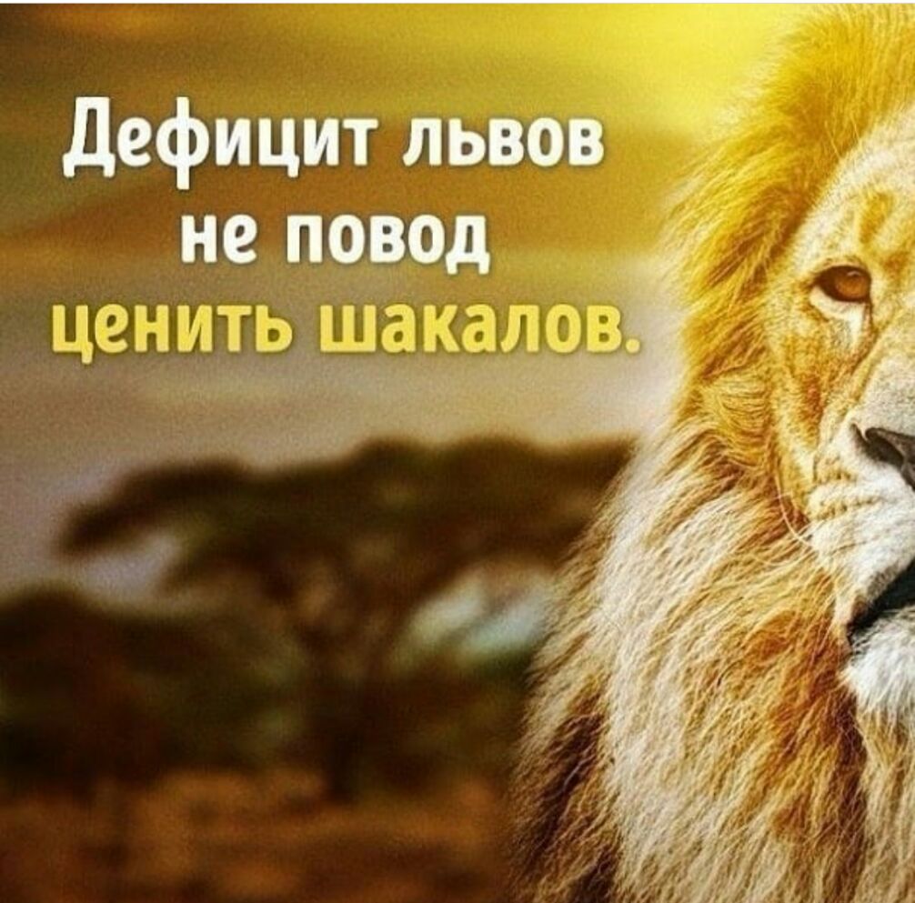 дефицит львов нещпёееод