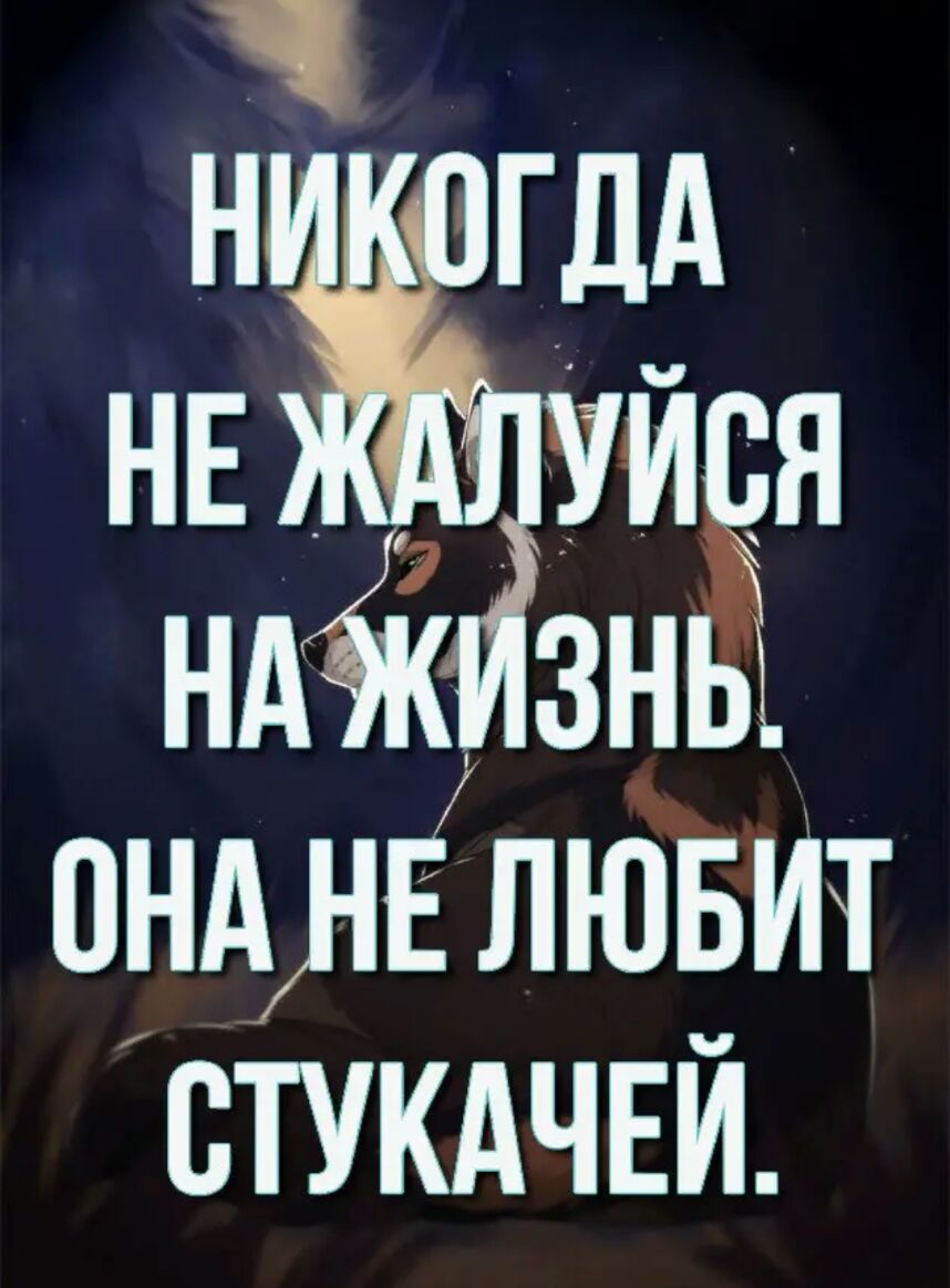 ондлЕЛЮБит ВТУКАЧЕЙ