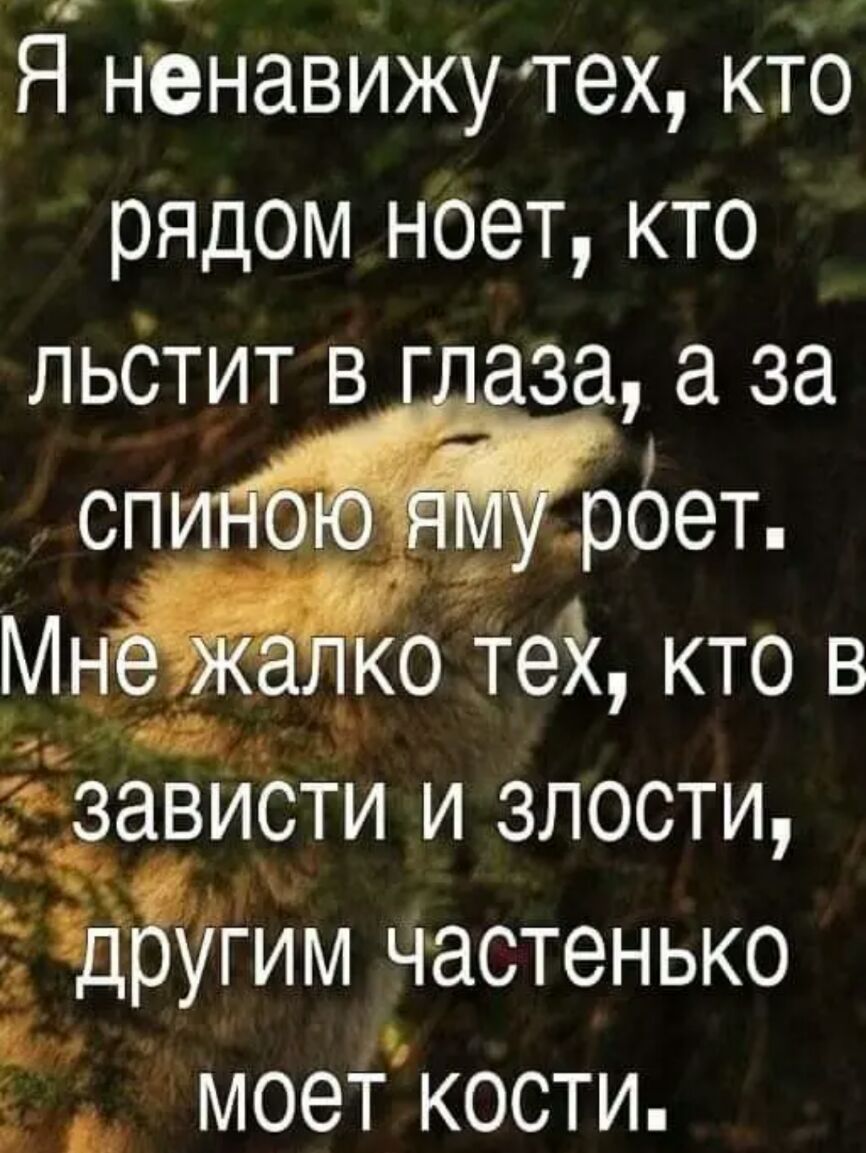 Я ненавижу тех кто рядом ноет кто льотит в іаза за ъуцроет Мн о Тей кто в зависти и злости д угим частенько а _ моет кости