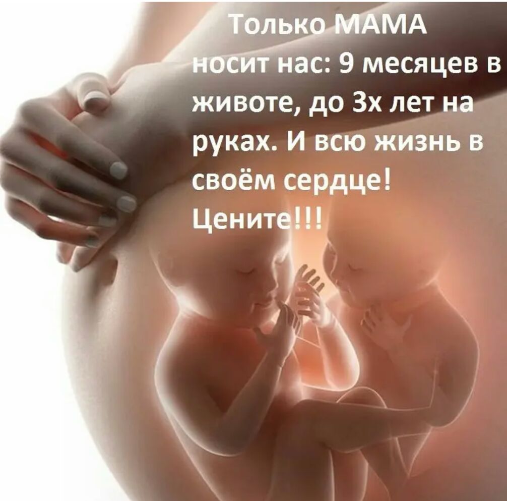 ас 9 месяцев в животе до 3х лет на руках И всю жизнь в своём сердце
