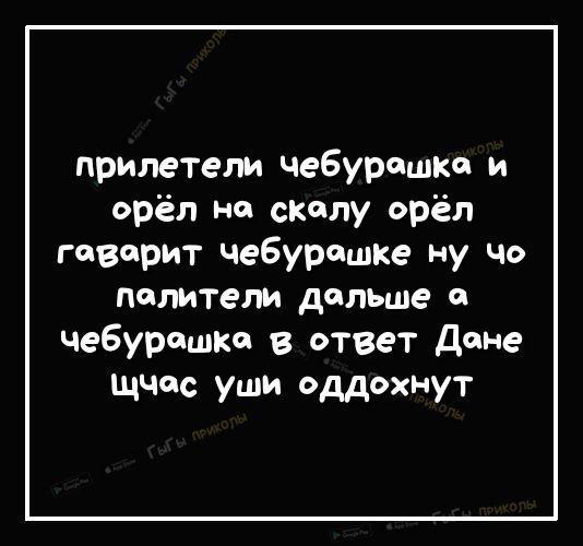 прилетели чебурашка и орёл на скалу орёл творит чебурашке ну Чо палители дальше а чебурашка в ответ дане ЩЧас уши оддохнут