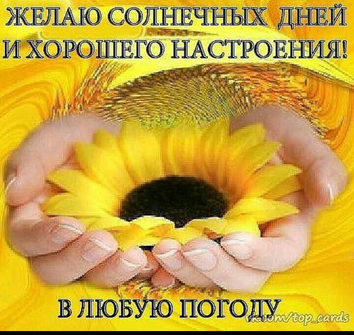 ЖЕЛАЮ СОПНЁЧНЫХ ДНЕЙ 1ЁЧ_ И ХОРОШЕГО НАСТРОЕДЁИЯ ам В ЛЁЮБУЮ ПОГОДУ