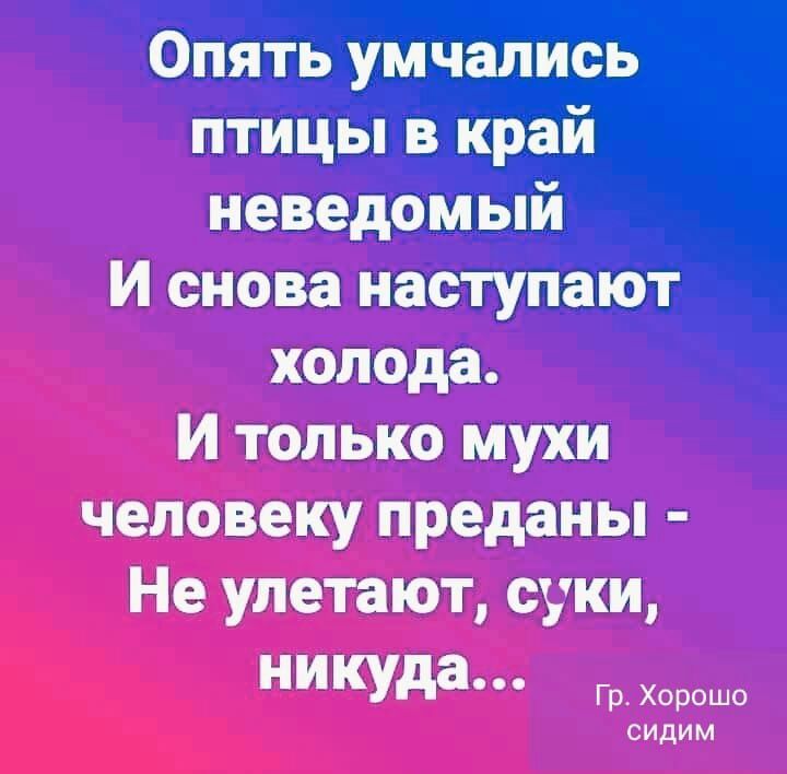 Опять умчались птицы в край неведомый И снова наступают холода И только мухи человеку преданы Не улетают суки никуда Гр Хорошо сидим