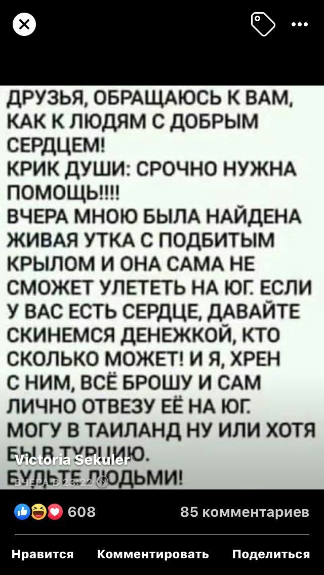 друзья ОБРАЩАЮСЬ К ВАМ КАК к людям с доврым сердцвмг крик души срочно НУЖНА помощыш ВЧЕРА мною БЫЛА НАЙДЕНА ЖИВАЯ УТКА с подвитым крылом и ОНА САМА НЕ сможвт улпвть НА юг если у ВАС есть сердце дАВАЙТЕ скинемся денежкои кто сколько МОЖЕТ и я хрен с ним всё БРОШУ и САМ лично отвезу ЕЁ НА юг могу в ТАИЛАНД ну или хотя вы в тувцию вудьтгг людьмш Ъ а 608 85 комментариев Нравится Комментировать Поделит