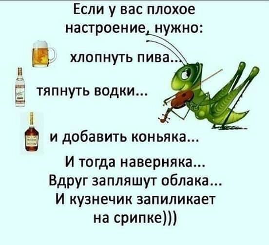 Если у вас плохое настроение нужно хлопнуть пива и Г тяпнуть водки и и добавить коньяка И тогда наверняка Вдруг за пляшут облака И кузнечик запиликает на срипке