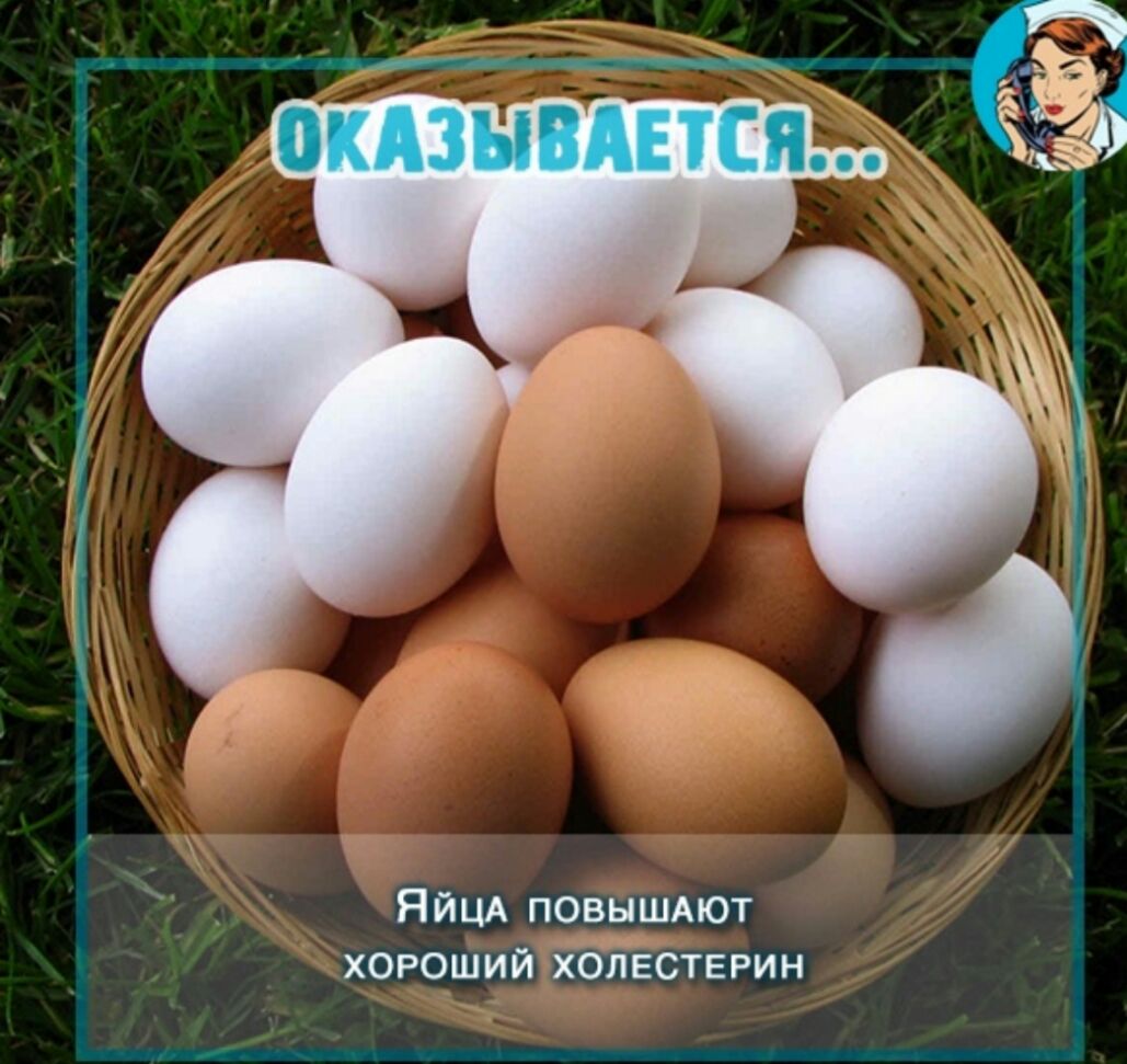 ЯЙЦА повышлют хороший холестерин