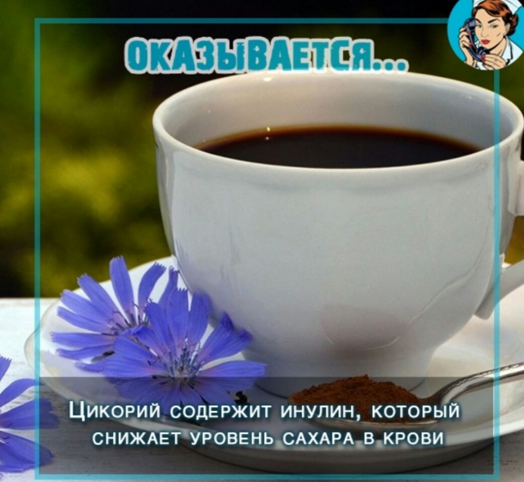 ит инулин котов аови