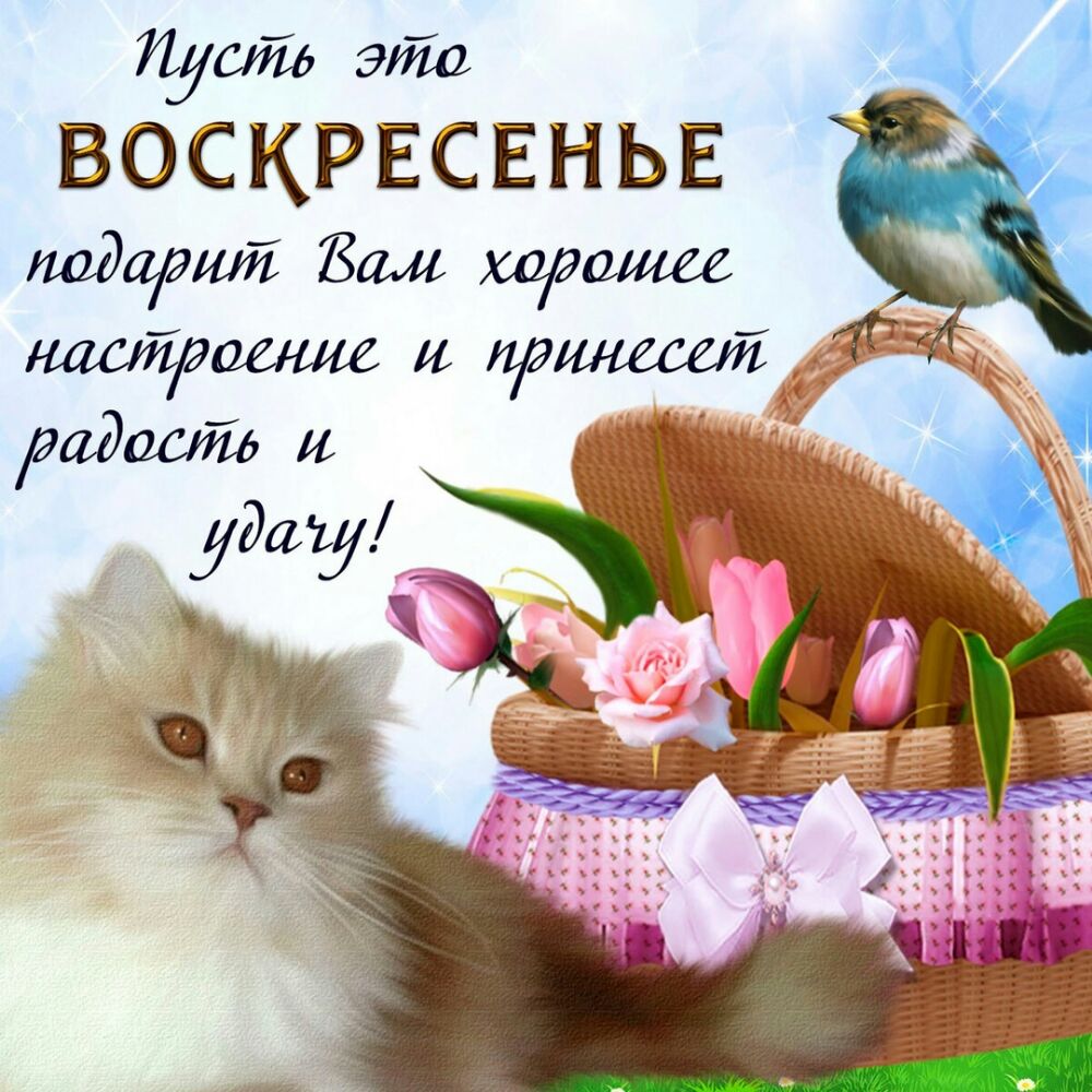 Луиш эйс ВОСКРЕСЕНЬЕ