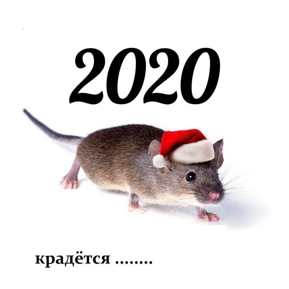 крадётся
