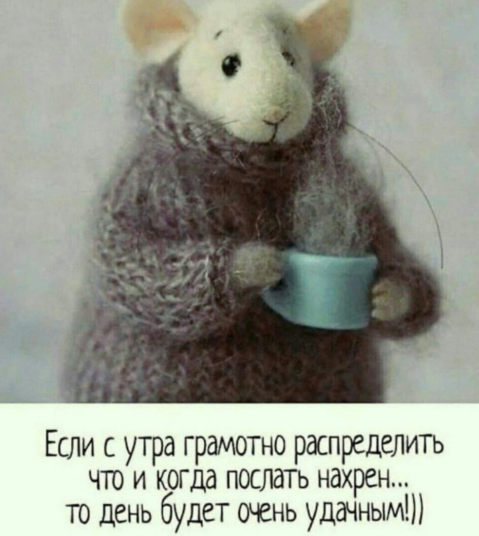 Если сутра грамотно распределить что и когда послать нахрен то день будет очень удачным