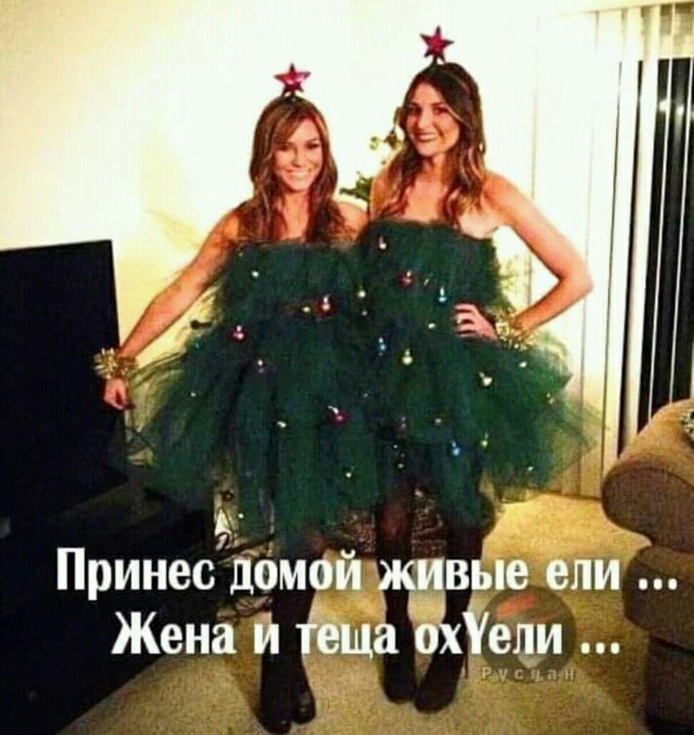Принес домой живЫе ели Жена и еща охУели