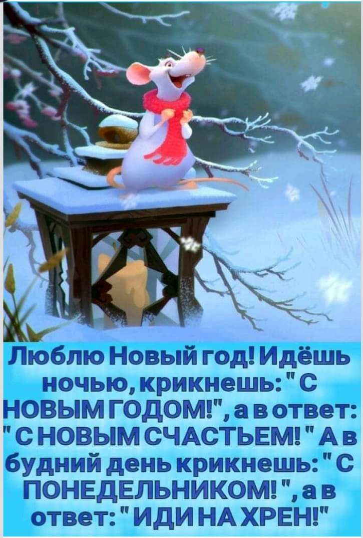 Люблю Новый год Идёшь ночью крикнешь с НОВЫМ ГОДОМ а в ответ с НОВЫМ СЧАСТЬЕМ А в будний день крикнешь с ПОНЕДЕЛЬНИКОМ а в ответ иди НА ХРЕН