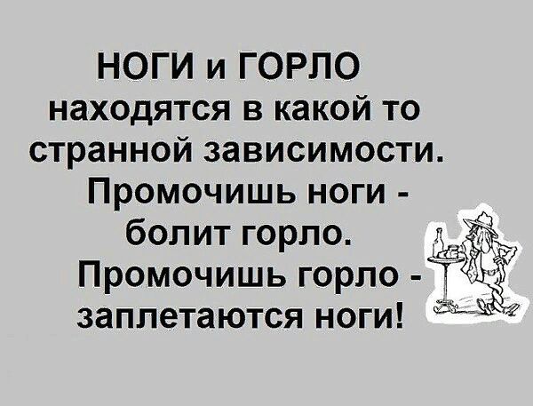 НОГИ и ГОРПО находятся в какой то странной зависимости Промочишь ноги болит горло Промочишь горло заплетаются ноги