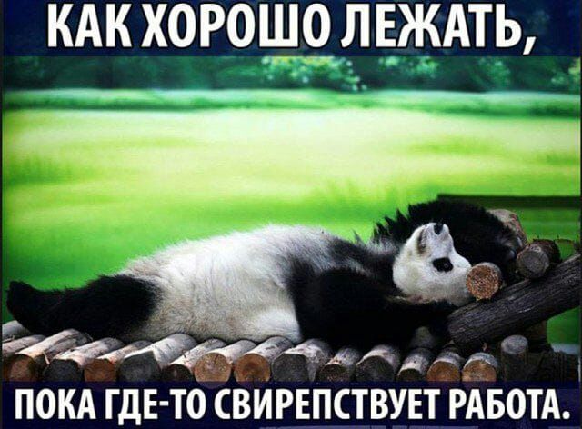КАК ХОРОД РБАТЬ ф44ди А а ПОКА гдЕ ТО СВИРЕПСТВУЕТ РАБОТА