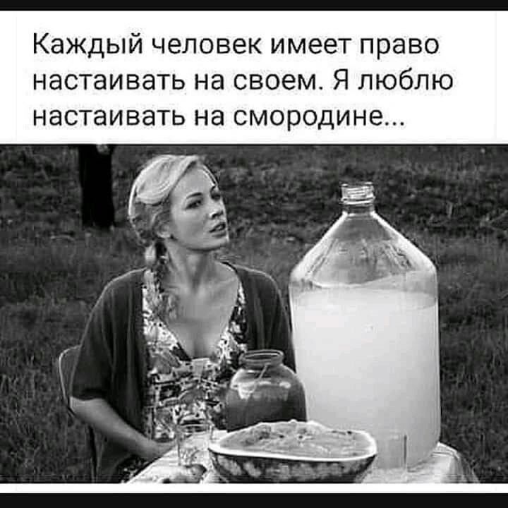 Каждый человек имеет право настаивать на своем Я люблю НЭСТЭИВЭТЬ Нд СМОРОДИНВ