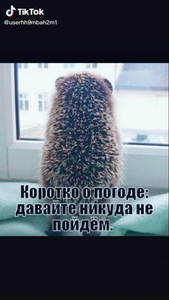 ткток изетЬЭтЬаЬ2т1