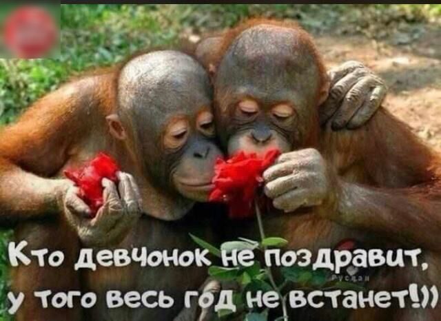 Кто девчшок ЧЁ поздравит у того весь гід вере гамет