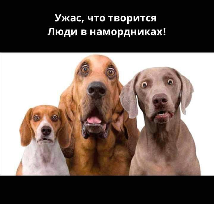 Ужас что творится Люди в намордниках