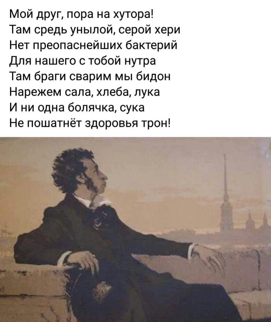 Мой друг пора на хутора Там средь унылой серой хери Нет преопаснейших бактерий Для нашего с тобой нутра Там браги сварим мы бидон Нарежем сала хлеба лука И ни одна 60лячка сука Не пошатнёт здоровья трон