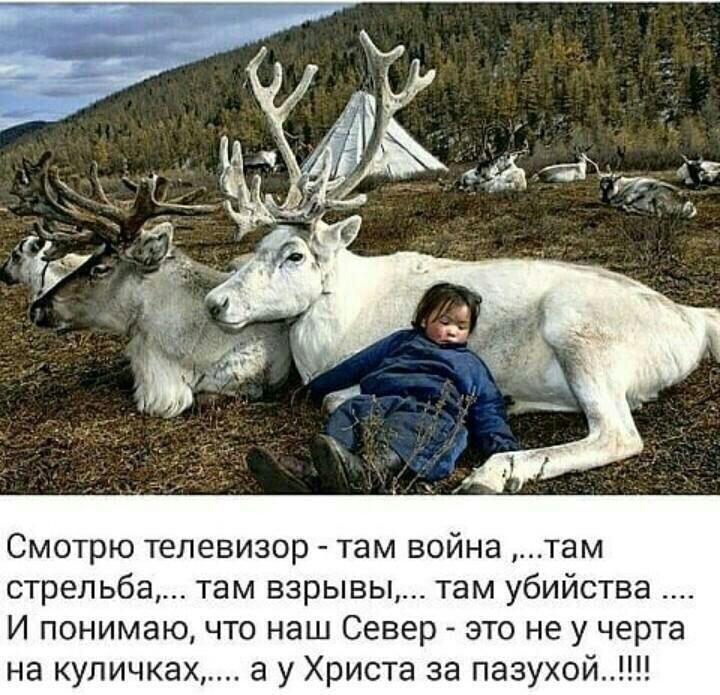 Смотрю телевизор там война там стрельба там взрывы там убийства И понимаю что наш Север это не у черта на куличках а у Христа за пазухой