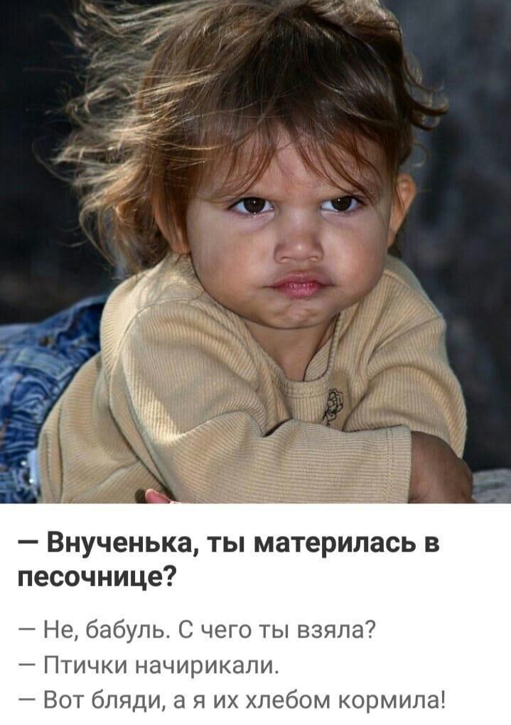 Внученька ты материлась в песочнице Не бабуль С чего ты взяла Птички начирикали Вот бляди а я их хлебом кормила