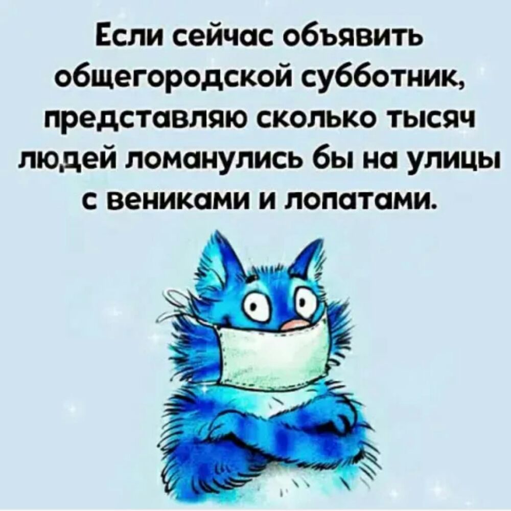 Если сейчас объявить общегородской субботник представляю сколько тысяч людей ломанулись бы на улицы с вениками и лопатами