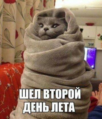 ШЕП второй пнд