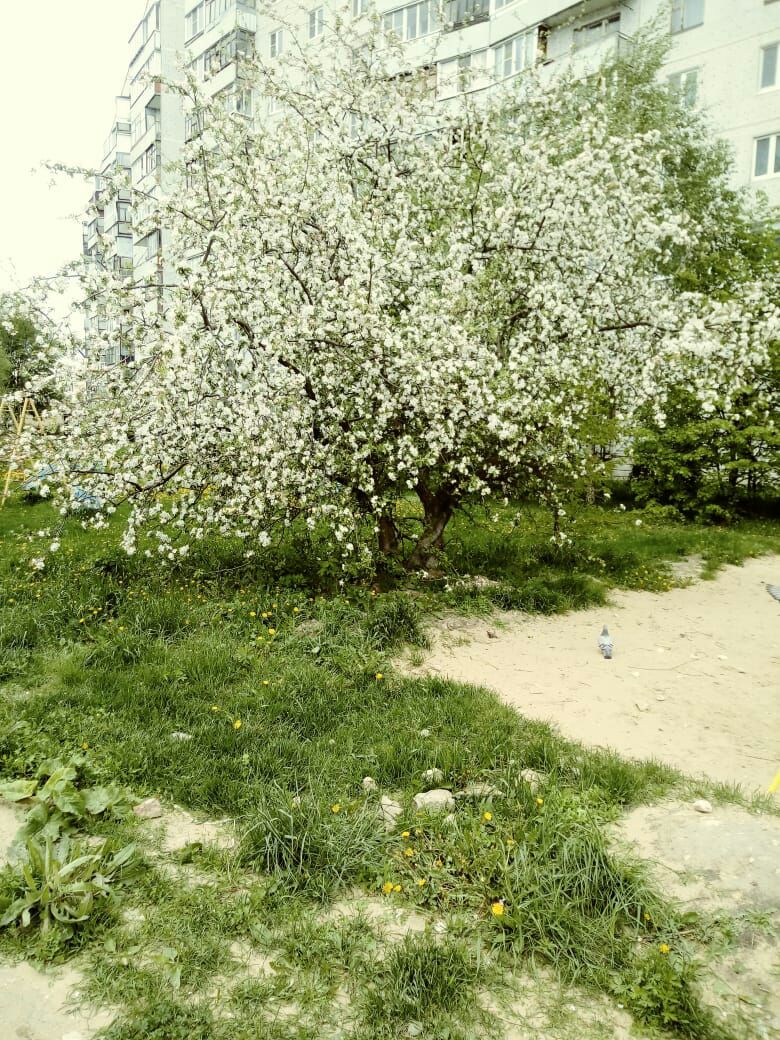 НЕ пойти ли МНЕ НА РАБОТУ ПОДУМАЛ я и НЕ ПОШЕЛ