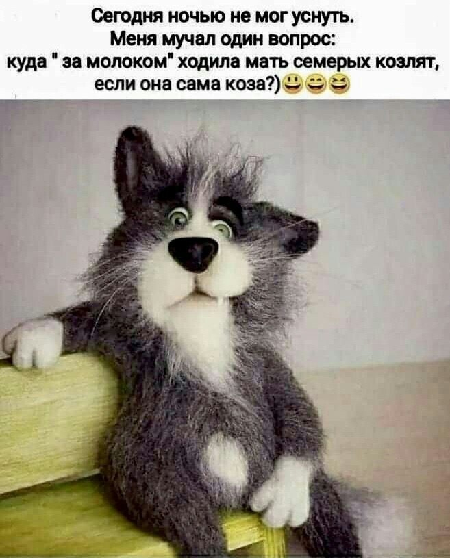 Сегодня ночью не мог уснуть Меня мучал один вопрос куда за молоком ходила мать семерых козлят если она сама коза