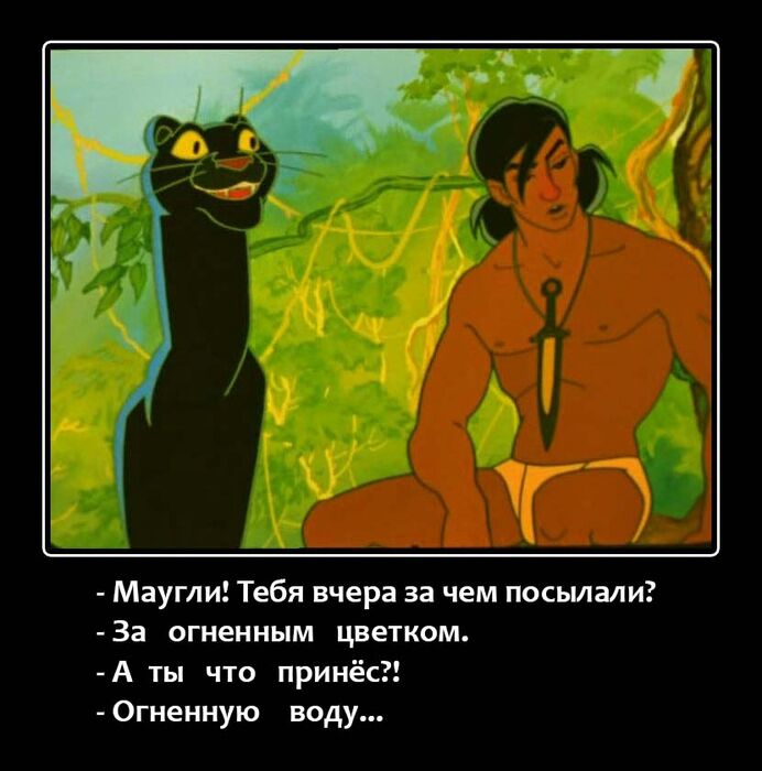 Маугли Тебя вчера за чем посылали За огненным цветком А ты что принёс Огненную воду