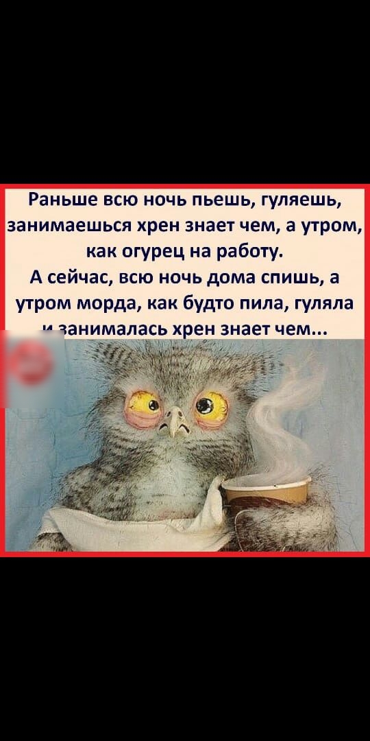 Раньше всю ночь пьешь гуляешь занимаешься хрен знает чем а утром как огурец на работу А сейчас всю ночь дома спишь а утром морда как будто пила гуляла занималась хрен знает чем 5