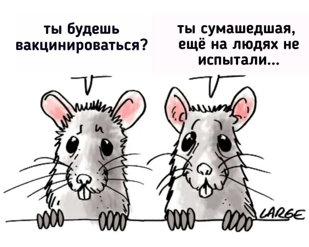 ТЫ будешь ТЫ СУМЗШЕДШЗЯ вакцинироваться ещё на людях не испытали