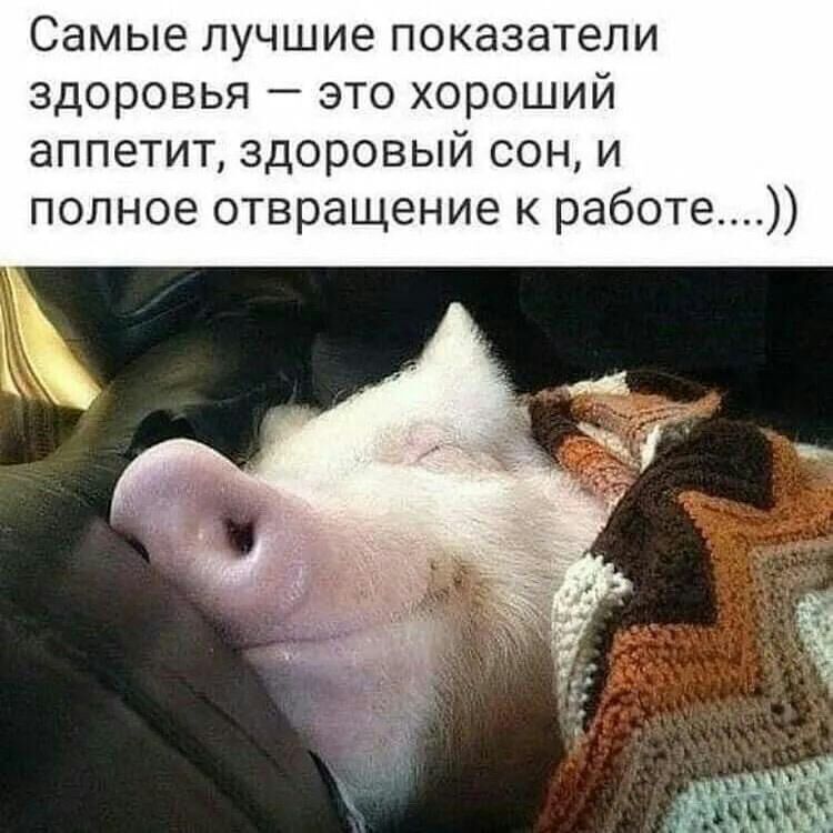 Самые лучшие показатели здоровья это хороший аппетит здоровый сон и полное отвращение к работе